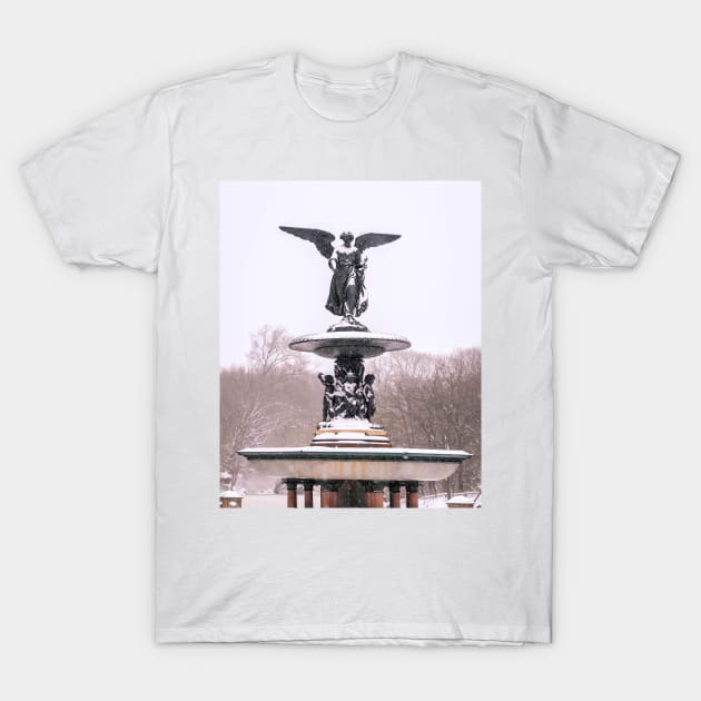 Central Park Winter T-Shirt by igjustin